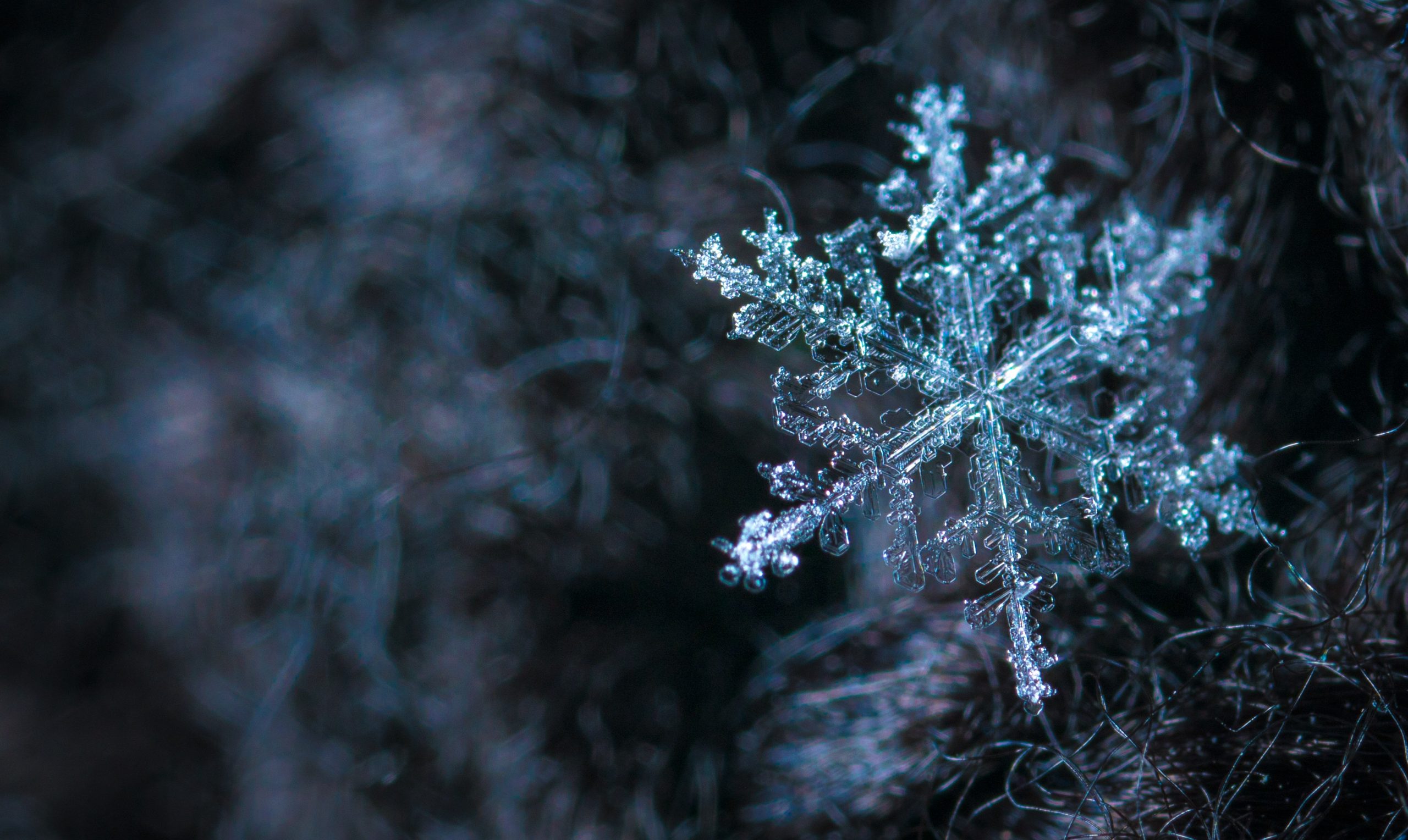 Star Schema vs Snowflake Schema: 5 Key differences